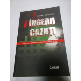 INGERII CAZUTI - CRISTIAN SANDACHE -